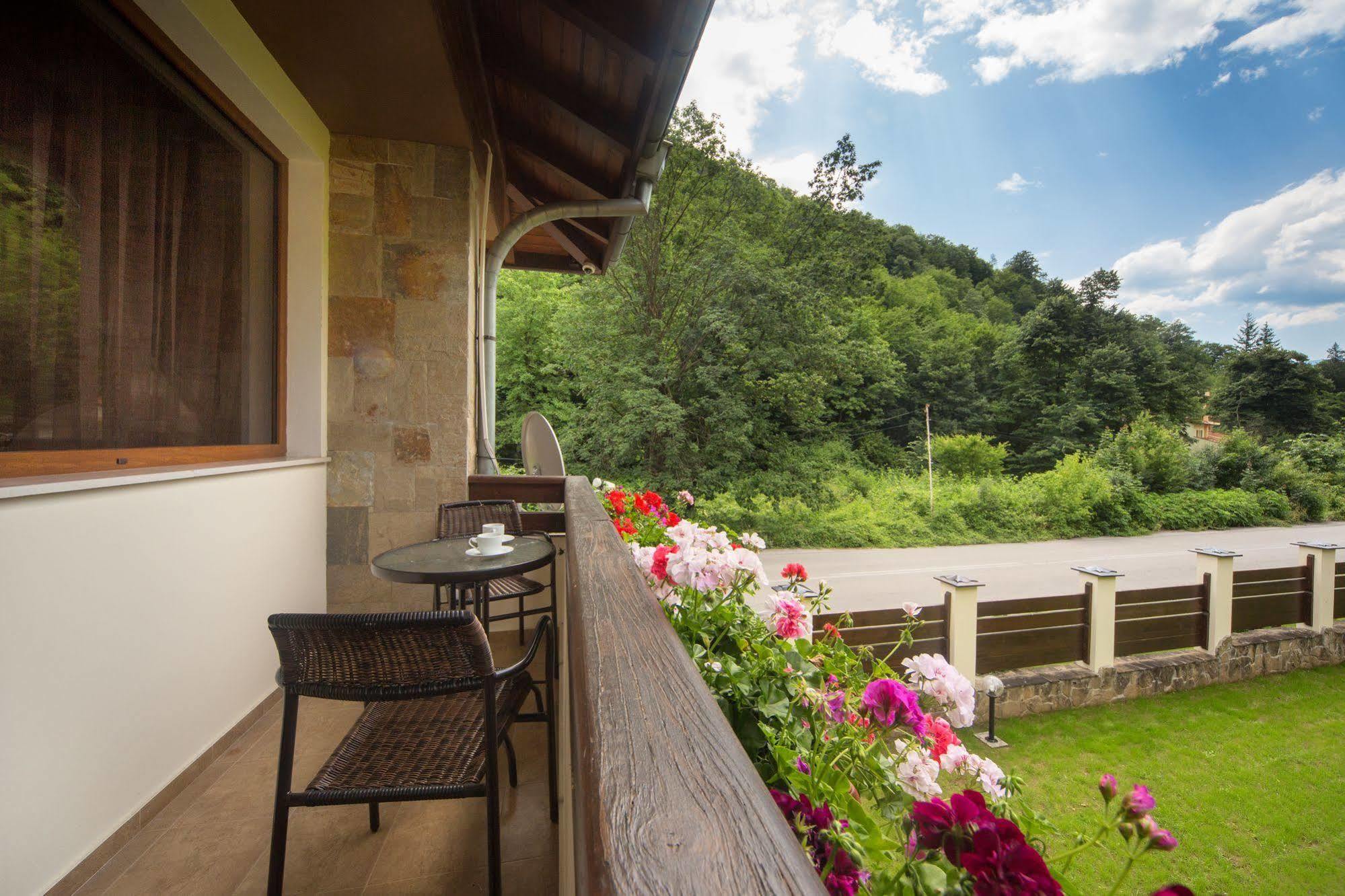 Guest House Vitora Ribaritsa Exterior photo